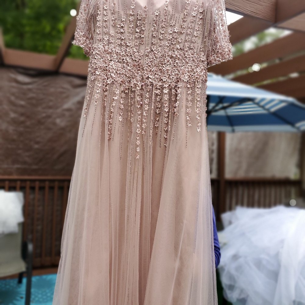 Teri Jon by Rickie Freeman 3/4 Sleeve Tulle Gown